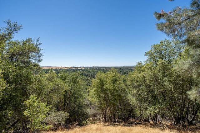 view of local wilderness