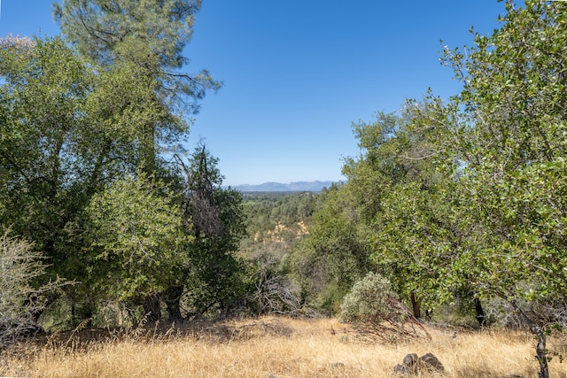 view of landscape