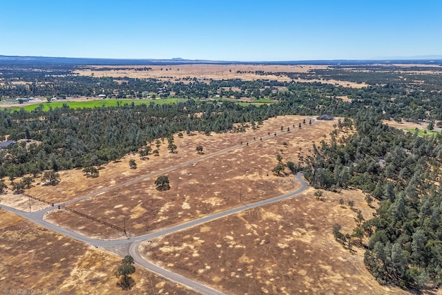 bird's eye view with a rural view