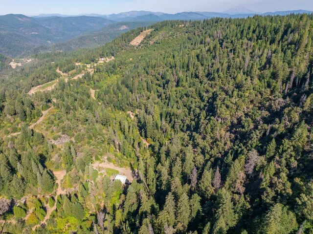 20441 Cove Rd, Montgomery Creek, CA 96065 - photo 7