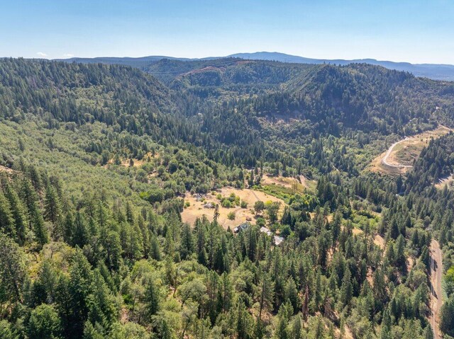 20441 Cove Rd, Montgomery Creek, CA 96065 - photo 6