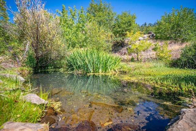 20441 Cove Rd, Montgomery Creek, CA 96065 - photo 2