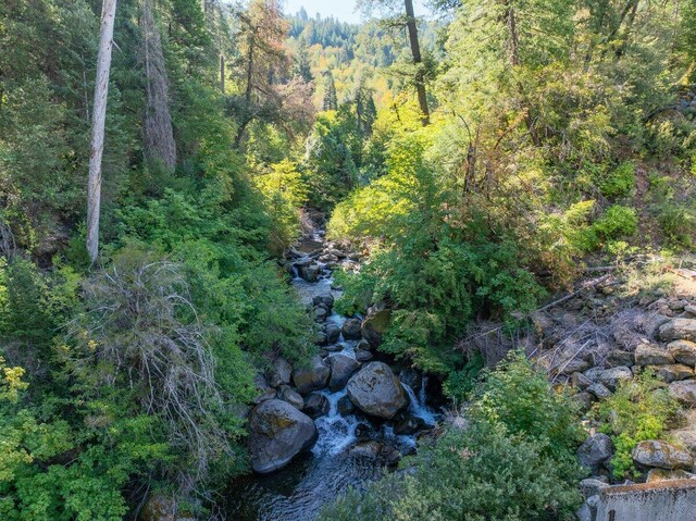 20441 Cove Rd, Montgomery Creek, CA 96065 - photo 4