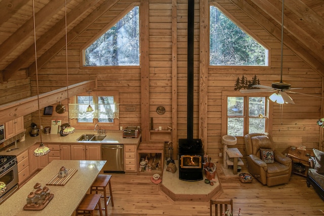 kitchen with light wood-type flooring, appliances with stainless steel finishes, a wood stove, and plenty of natural light