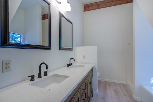 bathroom featuring toilet, wood-type flooring, and vanity