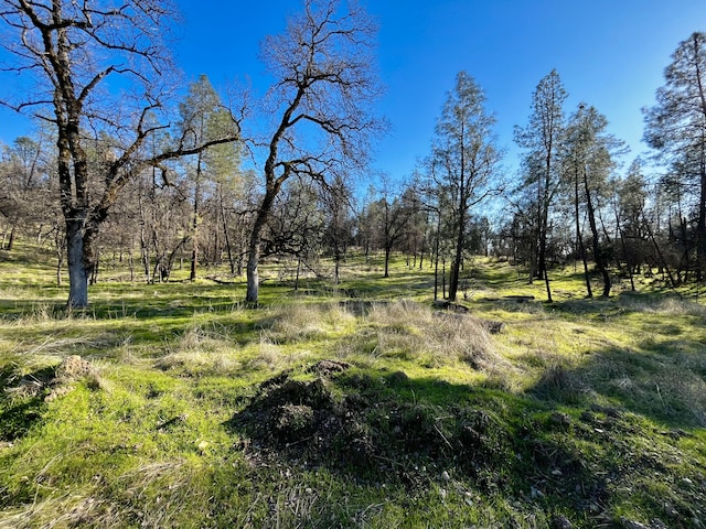 Listing photo 3 for 14378 Christian Way, Redding CA 96003