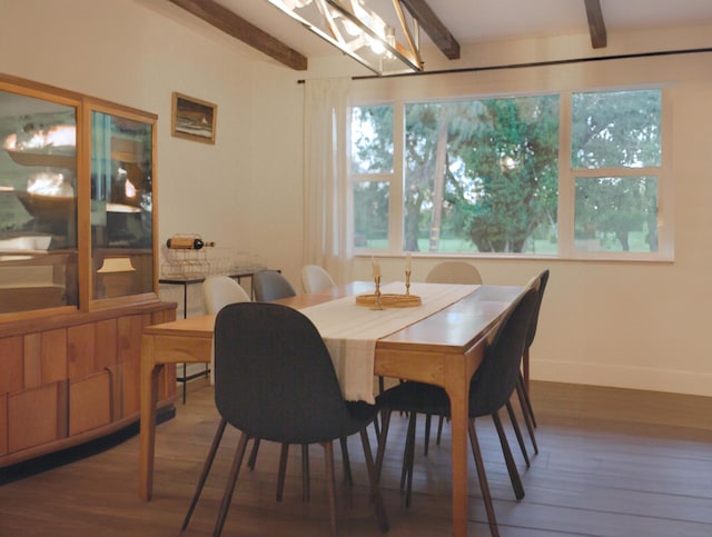 dining area featuring beamed ceiling, dark hardwood / wood-style floors, and a healthy amount of sunlight