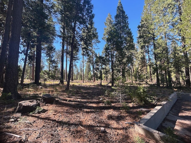 7596 Long Hay Flat Rd, Shingletown, CA 96088