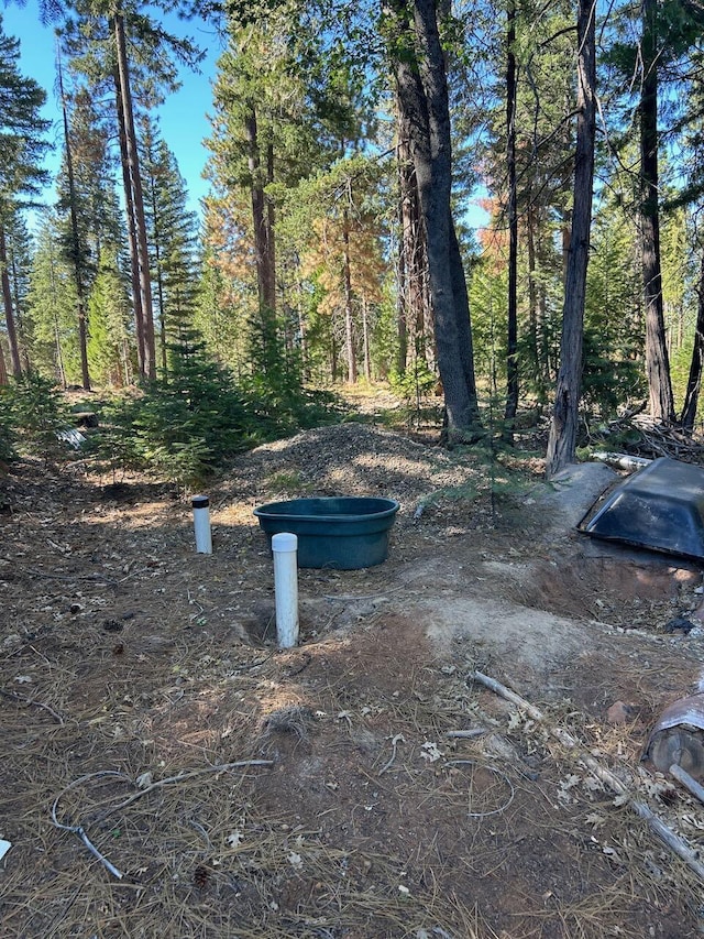 7596 Long Hay Flat Rd, Shingletown, CA 96088