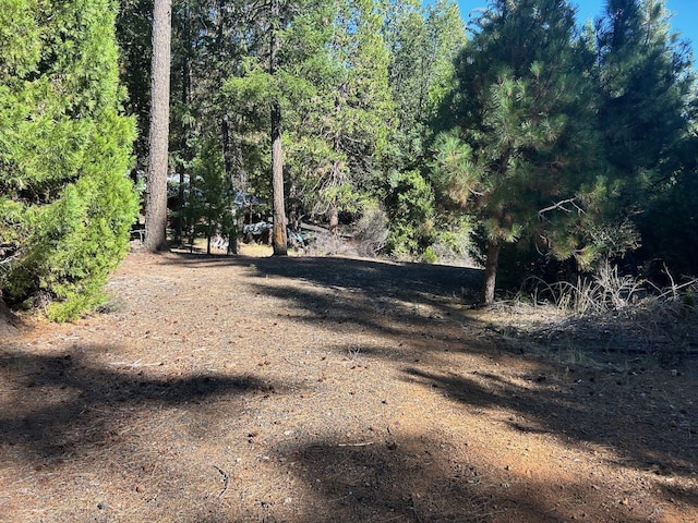 7596 Long Hay Flat Rd, Shingletown, CA 96088