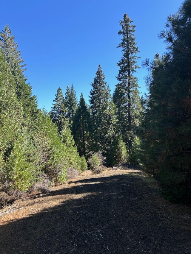 7596 Long Hay Flat Rd, Shingletown, CA 96088