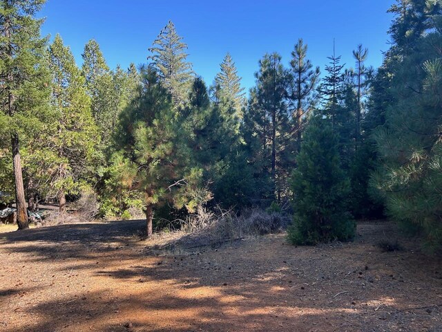 7596 Long Hay Flat Rd, Shingletown, CA 96088