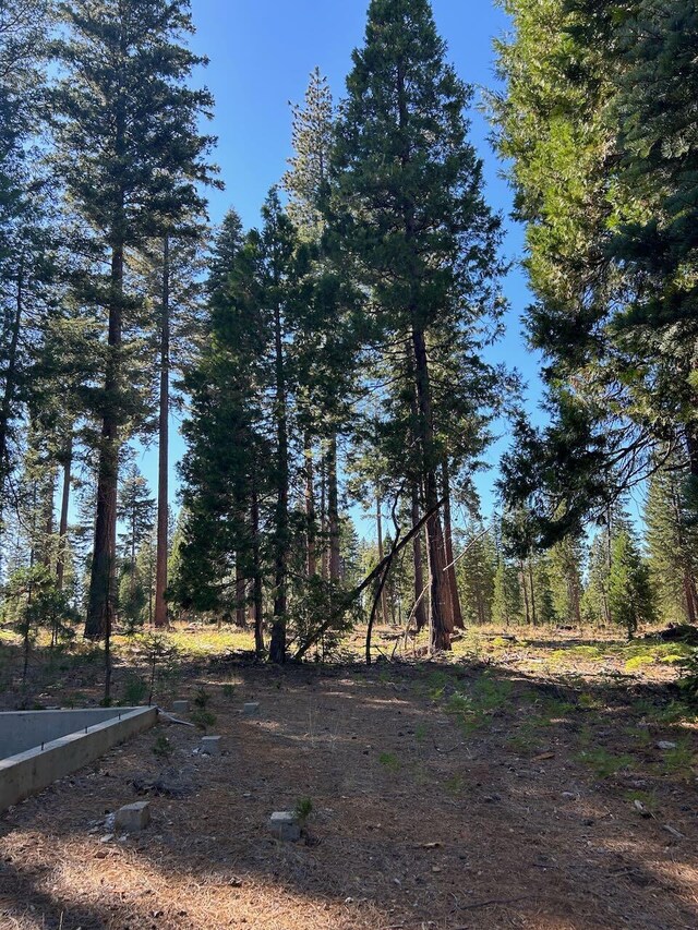 7596 Long Hay Flat Rd, Shingletown, CA 96088