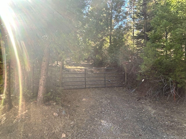 7596 Long Hay Flat Rd, Shingletown, CA 96088
