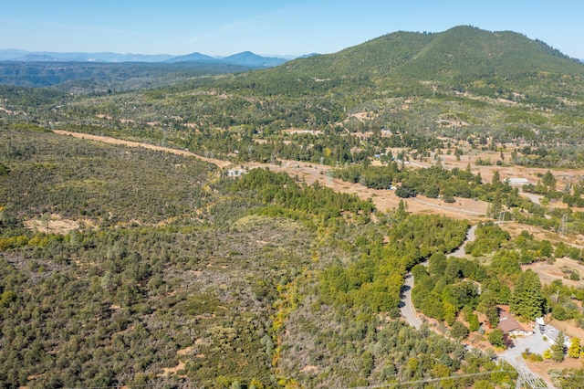 0 Frisby Ave, Round Mountain CA, 96084 land for sale