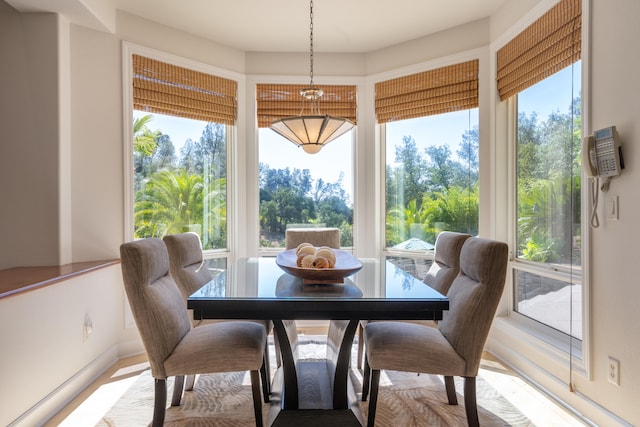 dining area featuring a wealth of natural light