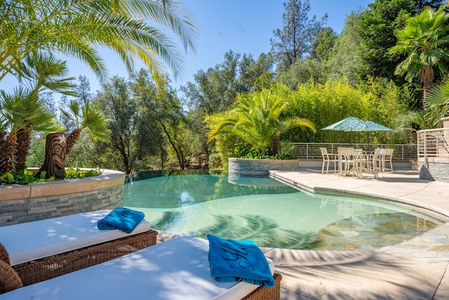 view of pool featuring a patio