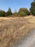 4.75ACRES Frisby Rd, Round Mountain, CA 96084 - photo 6