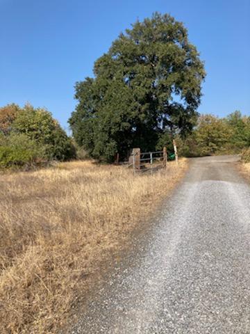 4.75ACRES Frisby Rd, Round Mountain, CA 96084 - photo 9
