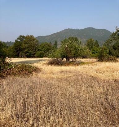 4.75ACRES Frisby Rd, Round Mountain, CA 96084 - photo 10