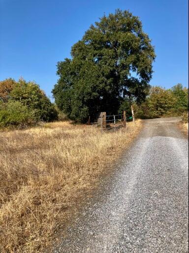 4.75ACRES Frisby Rd, Round Mountain, CA 96084 - photo 11