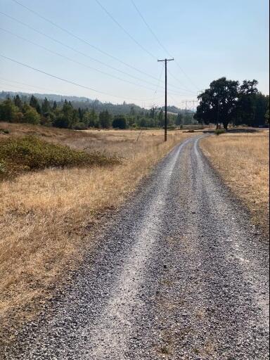 4.75ACRES Frisby Rd, Round Mountain, CA 96084 - photo 12