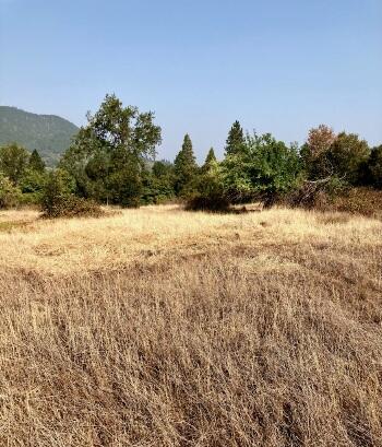 4.75ACRES Frisby Rd, Round Mountain, CA 96084 - photo 13