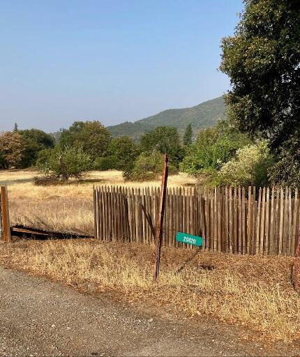 4.75ACRES Frisby Rd, Round Mountain, CA 96084 - photo 4