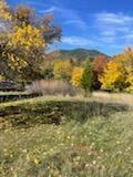 4.75ACRES Frisby Rd, Round Mountain, CA 96084 - photo 14