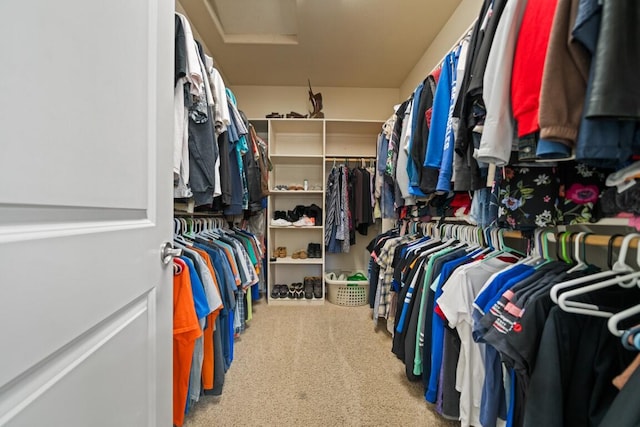 walk in closet with carpet floors