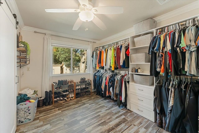 spacious closet featuring ceiling fan and light hardwood / wood-style floors