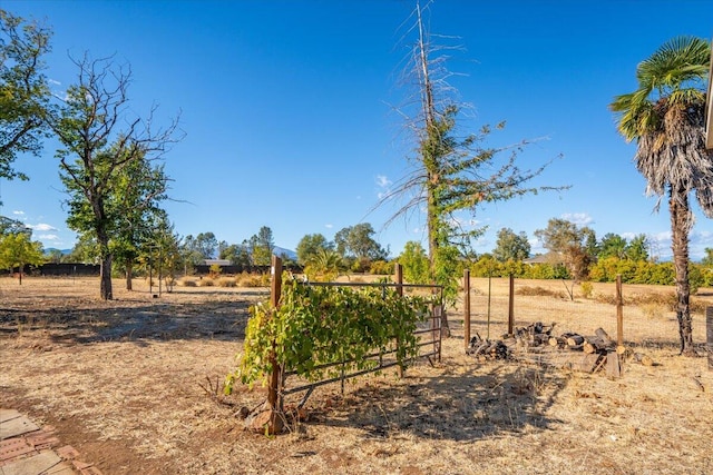 view of yard with a rural view