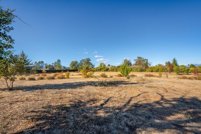 view of yard featuring a rural view