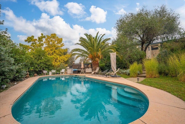 view of swimming pool featuring a patio