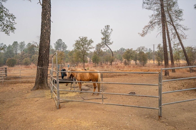 view of gate with a rural view