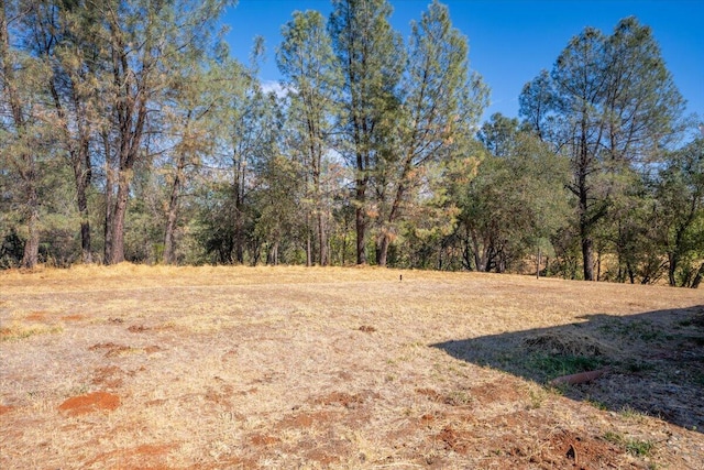 view of local wilderness