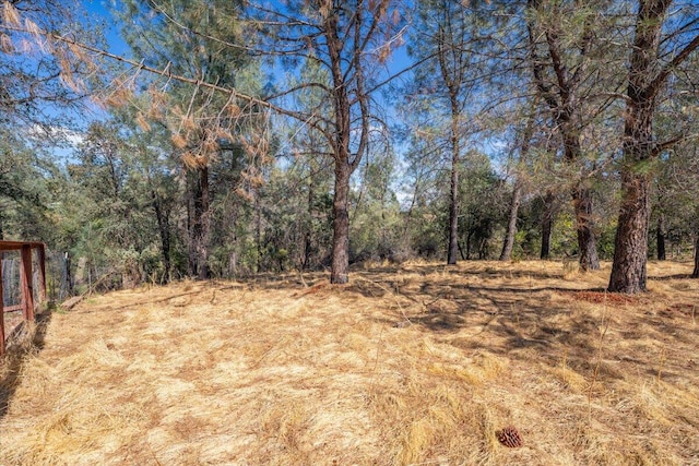 view of landscape