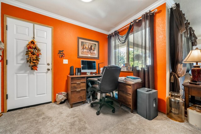 carpeted office space featuring ornamental molding