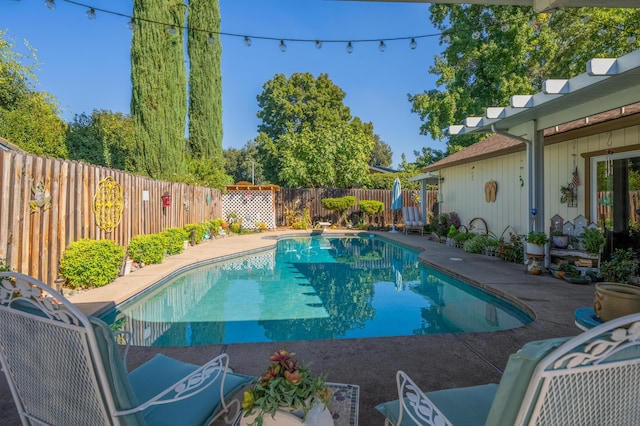 view of swimming pool featuring a patio