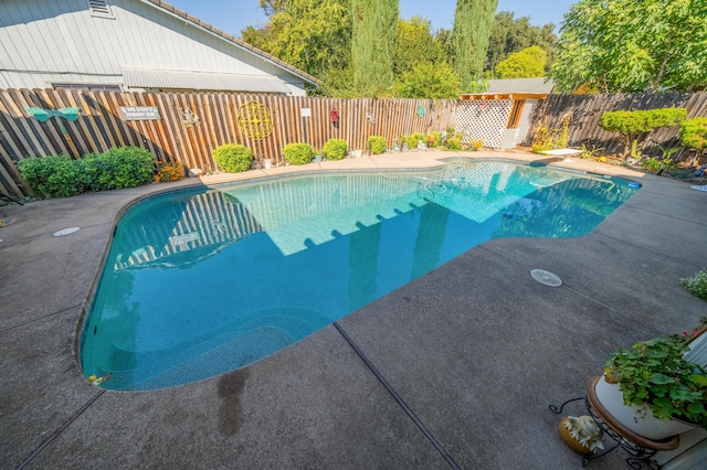 view of pool featuring a diving board