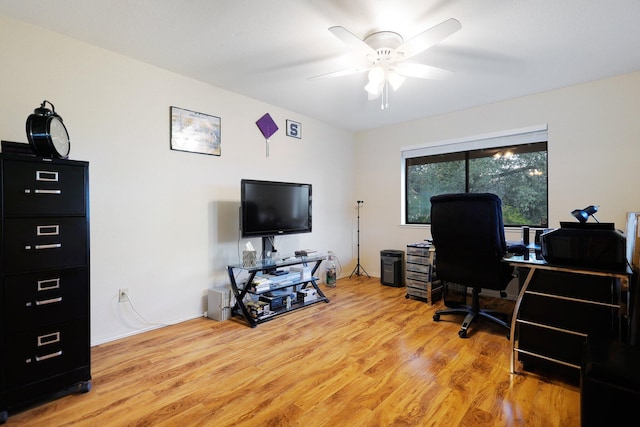 office featuring light hardwood / wood-style flooring and ceiling fan