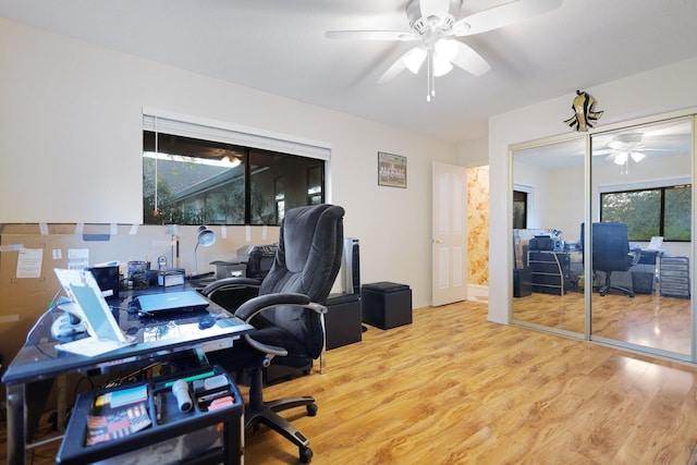 home office with ceiling fan and wood-type flooring