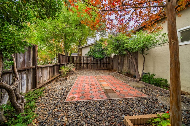 view of yard with a patio