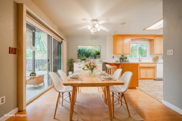 dining space with light wood-type flooring, sink, and ceiling fan