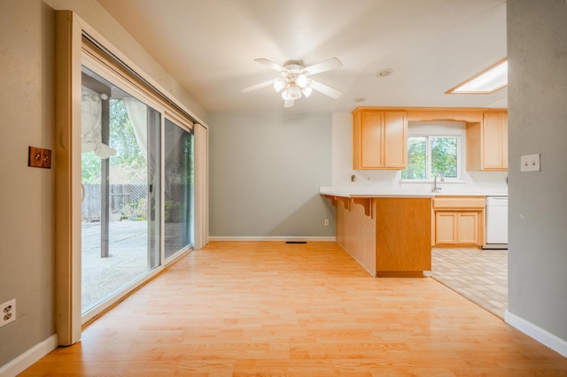 kitchen featuring light brown cabinets, ceiling fan, light hardwood / wood-style flooring, and dishwasher