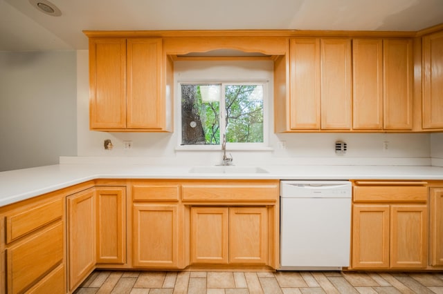 kitchen with dishwasher and sink