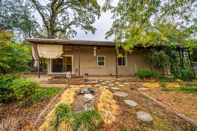 rear view of house with a patio area