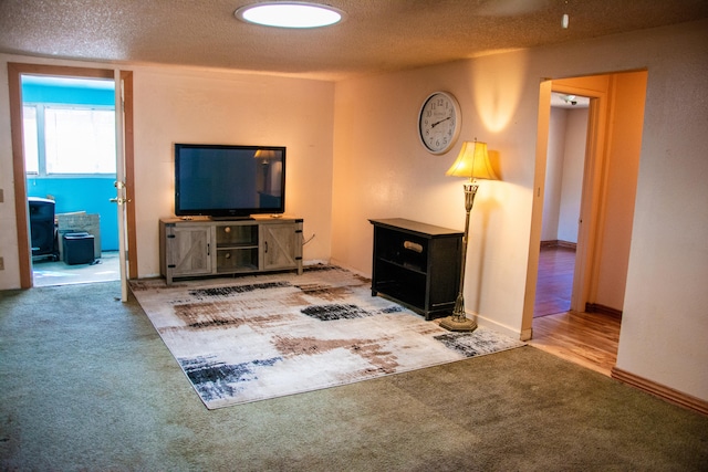 carpeted living room with a textured ceiling