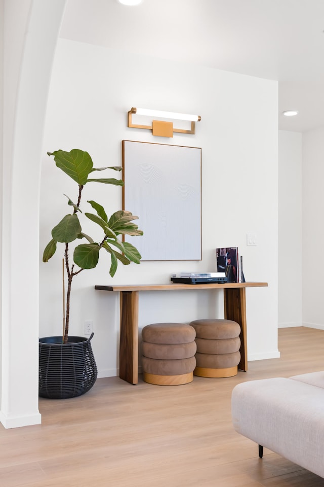 home office featuring wood-type flooring