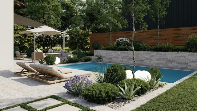 view of swimming pool with a patio